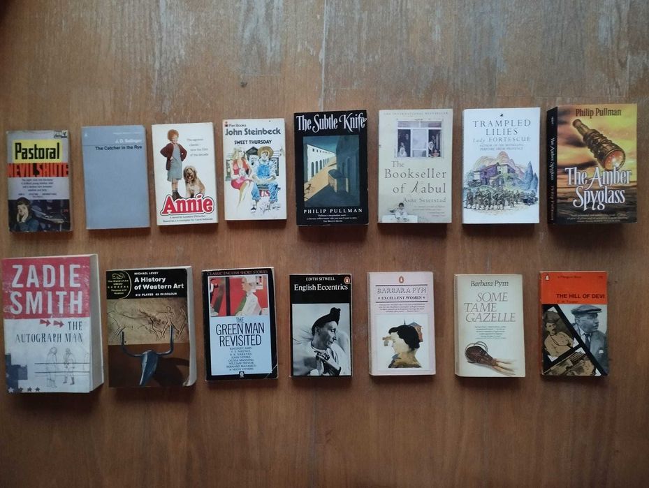 Coleção de livros em inglês