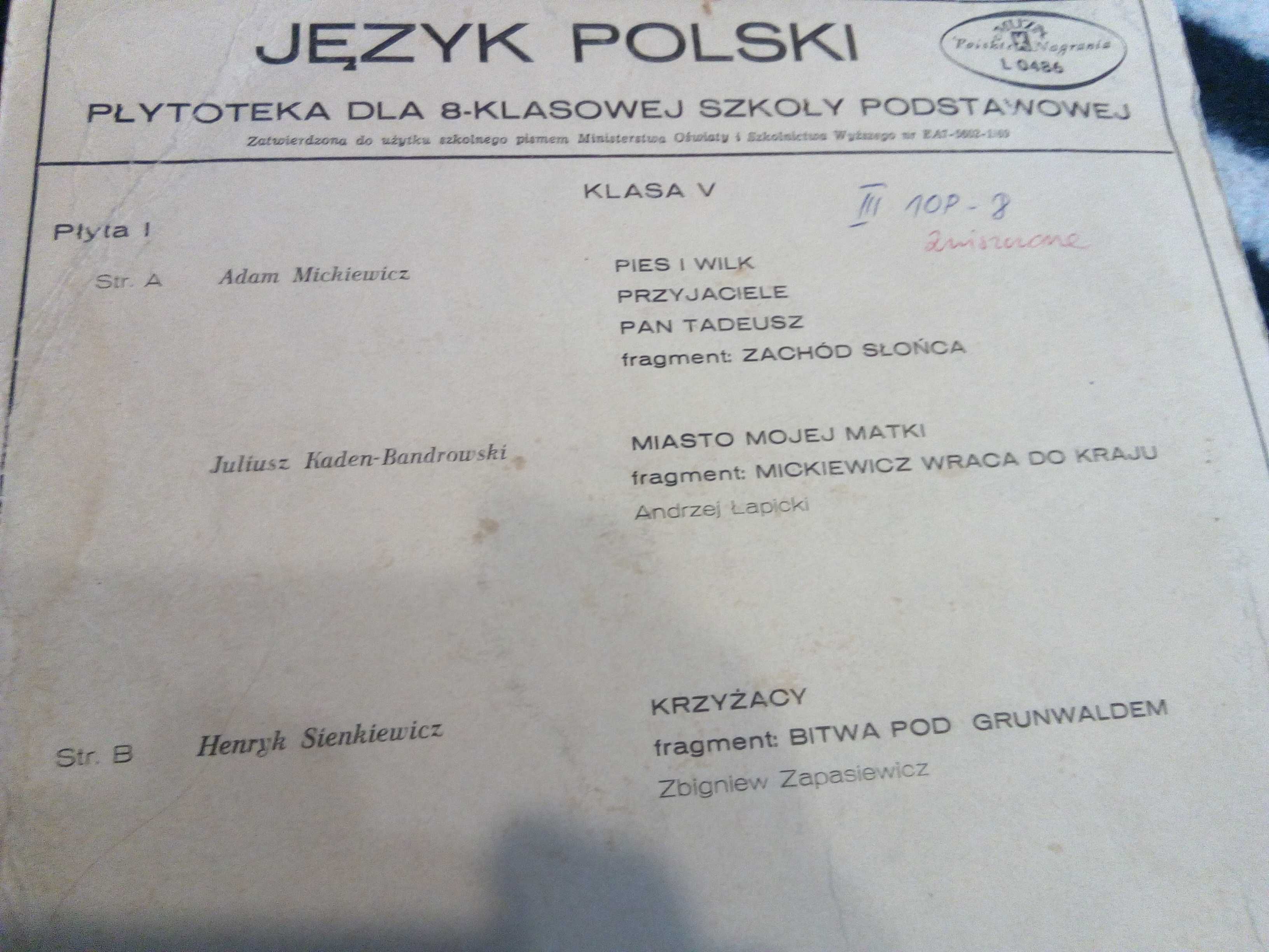 Płyty Winylowe język polski