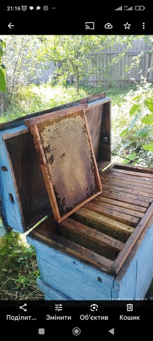 Апі будиночок на три сім'ї