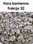 Kora kamienna frakcje 8,11,32