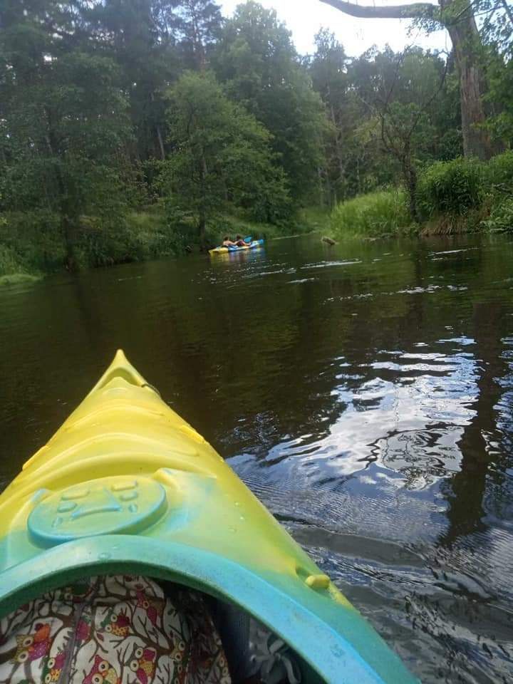 Kajaki z Borów Tucholskich