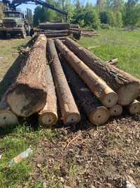 Продам ліс кругляк 4-6 метрів сосна , хвоя пиловочник з доставкою