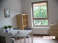Kawalerka w centrum Szczecina, winda, widok na park, 23m2