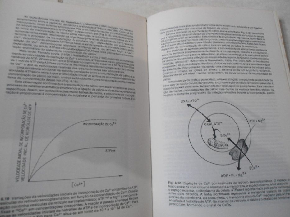 Biofísica - F.Lacaz-Vieira/G. Malnic