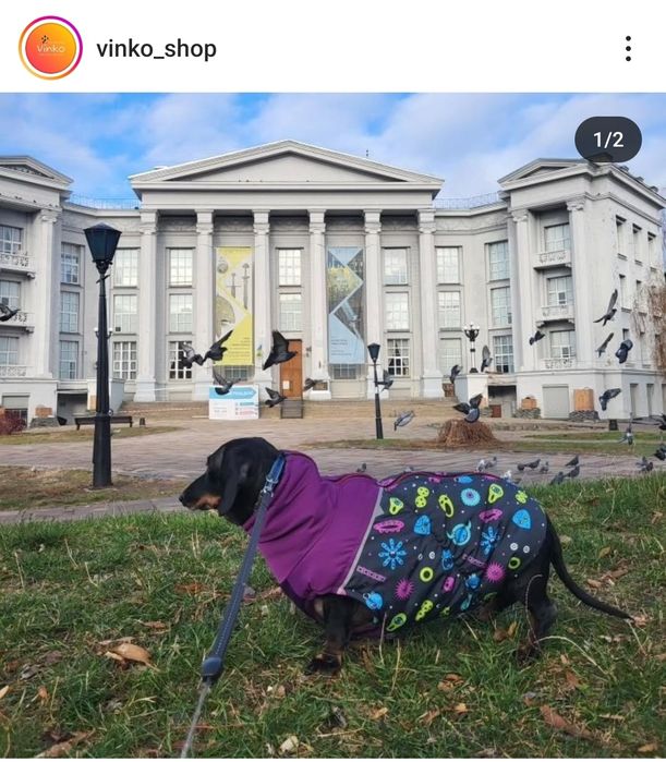 Одяг для собак, жилет зимовий для такси