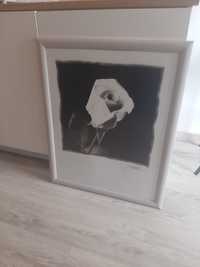 Quadro decorativo