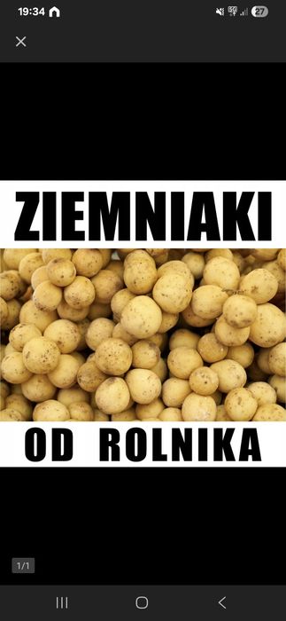 Ziemniaki jadalne