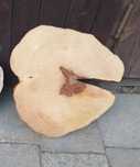 Plaster drewna buk