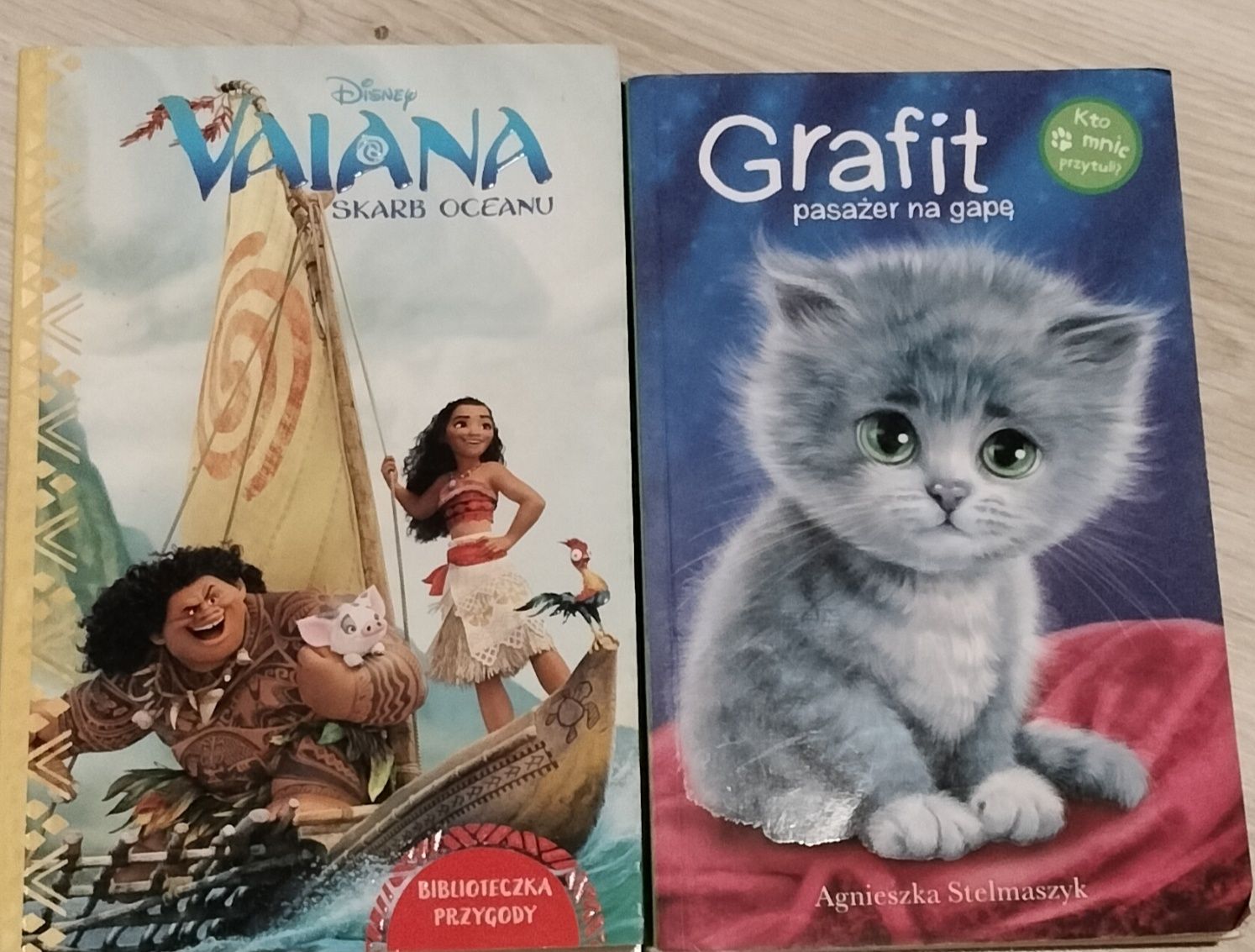 Książka dla dzieci "Grafit pasażer na gapę"