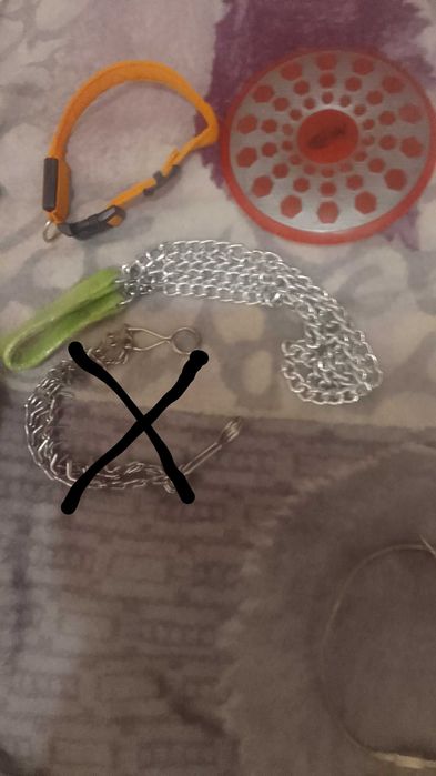 Повідок та ошийники