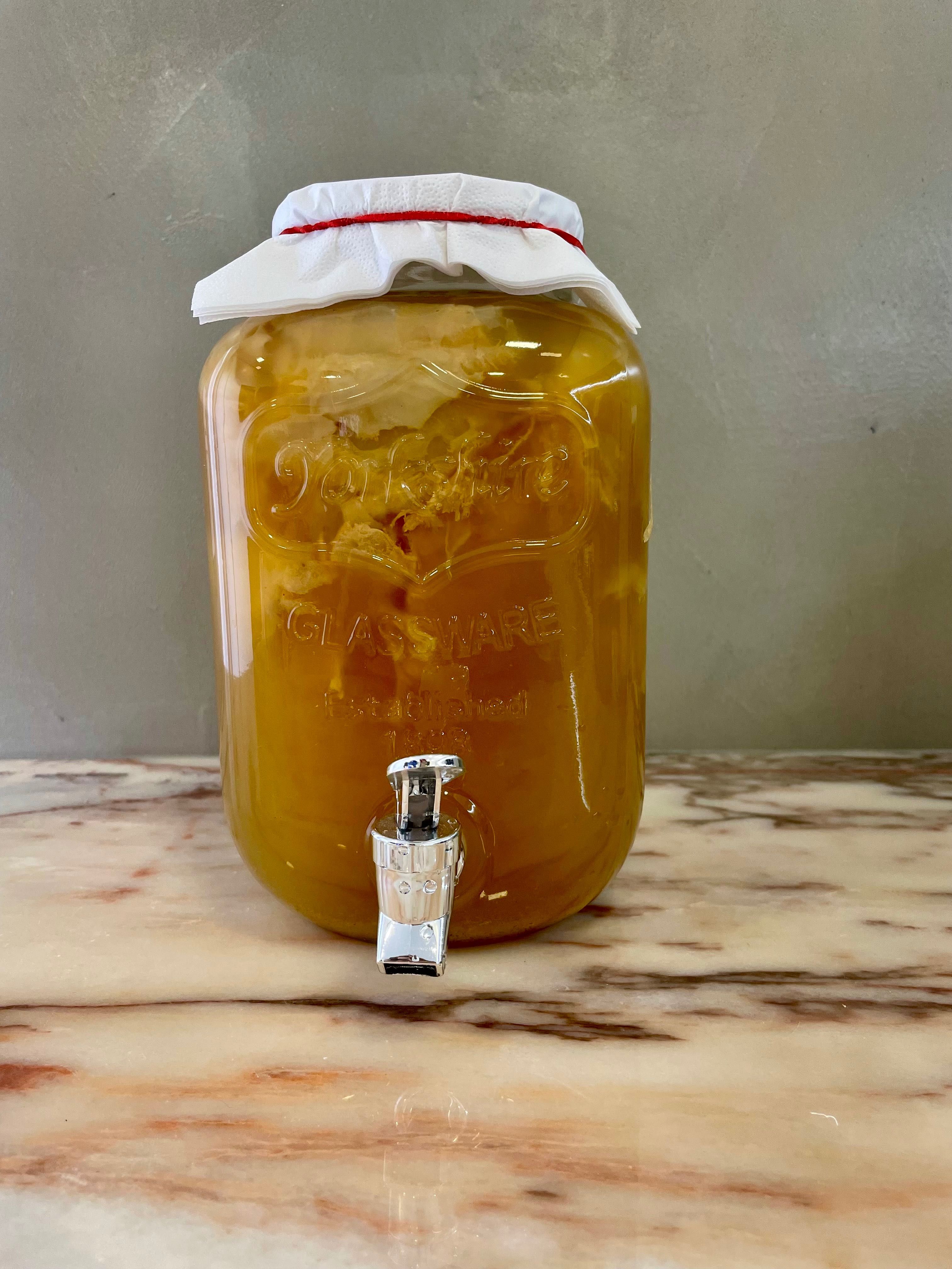 Cultura de Jun - Kumbucha de mel e chá verde