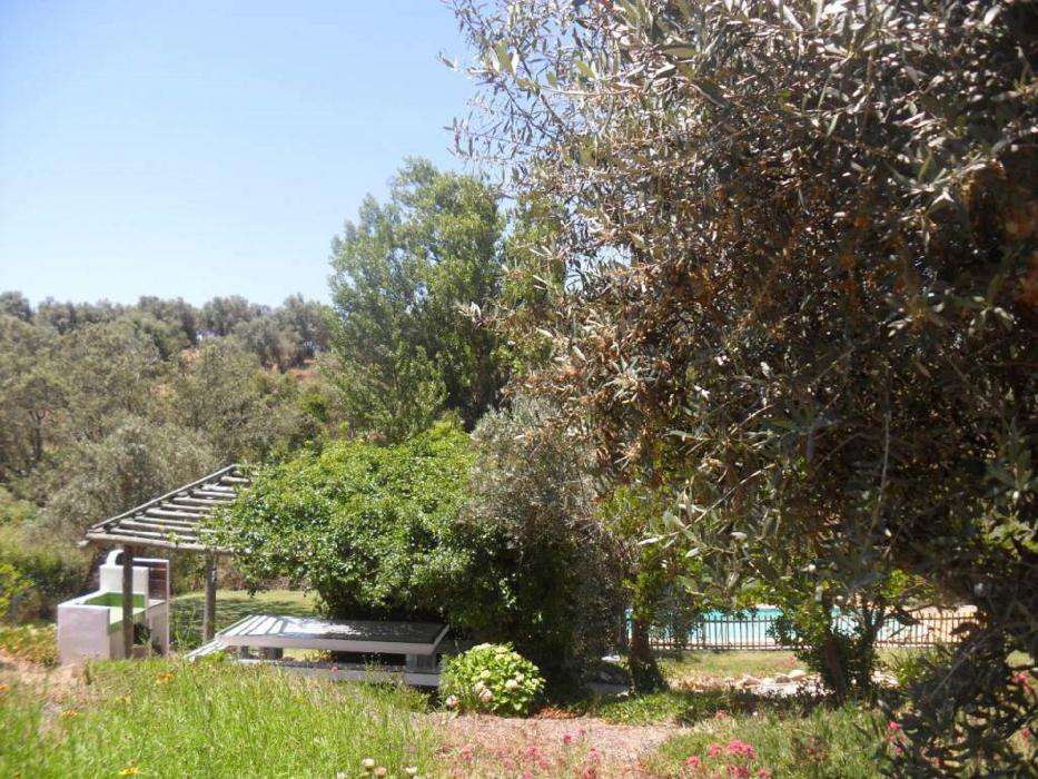 Aluguer de casa férias (Monte) no Alentejo com piscina perto barragem