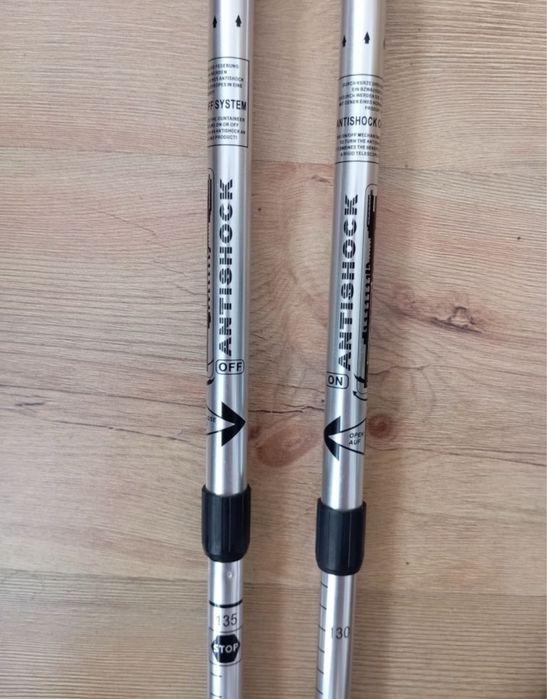 Трекінгові скандинавські палиці