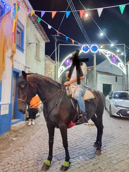 Égua com 168m montada e engatada