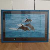 Quadro Golfinhos