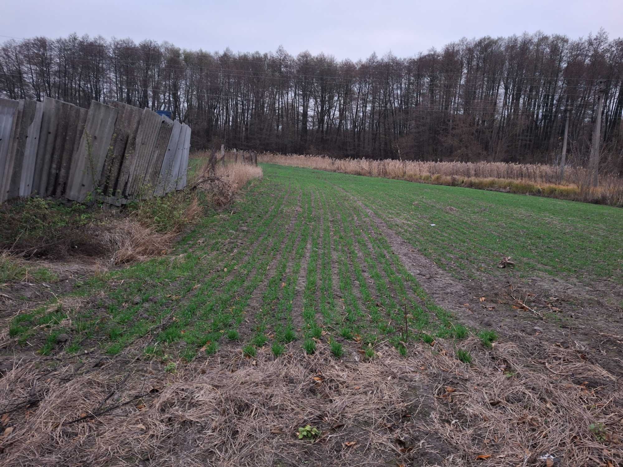 Продаю будинок село Зеленьки Миронівка Обухівський  район
