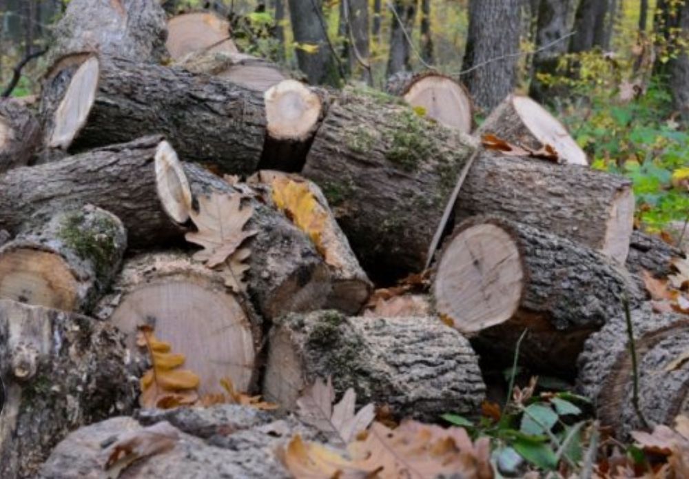 Дрова дубові або мішані