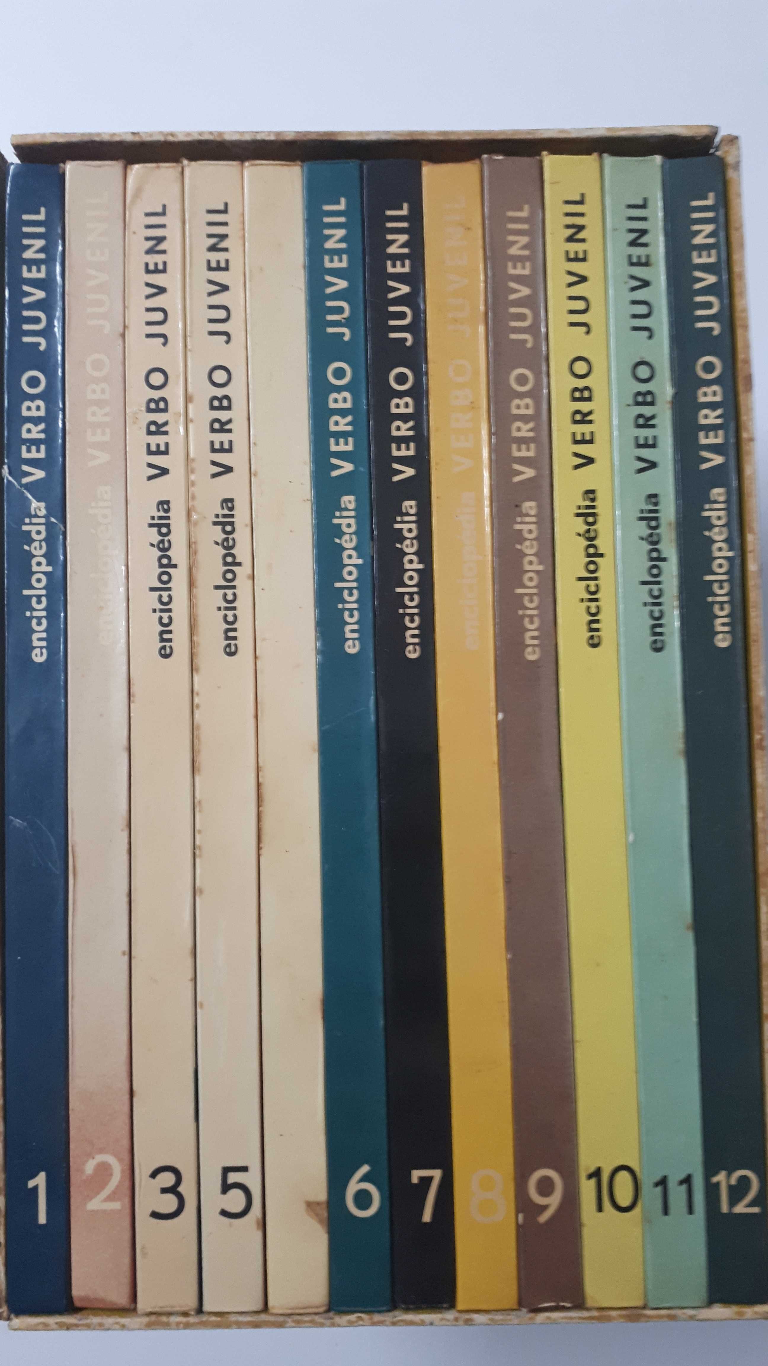Enciclopédia Verbo Juvenil 12 volumes
