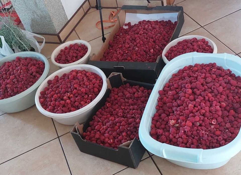 Malina konfitura 220gr, zdrowe jelita Beskidzkie zioła