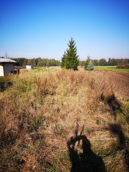 Gospodarstwo rolne , dzialka budowlana