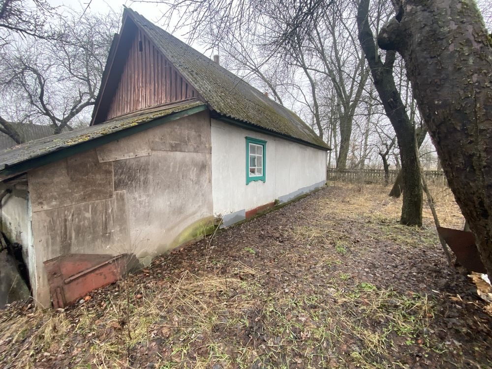 Будинок в селі Нова Діброва