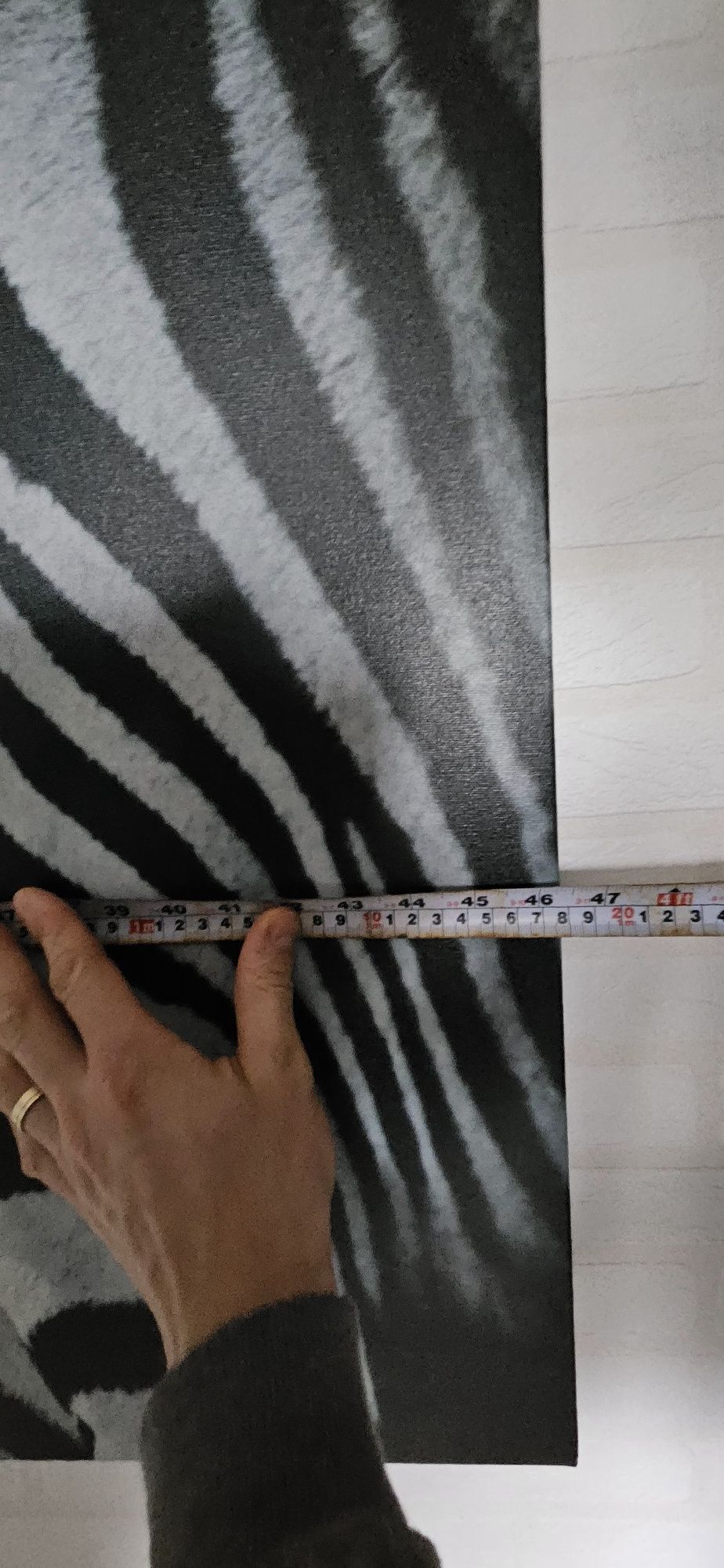 Obraz duży zebra