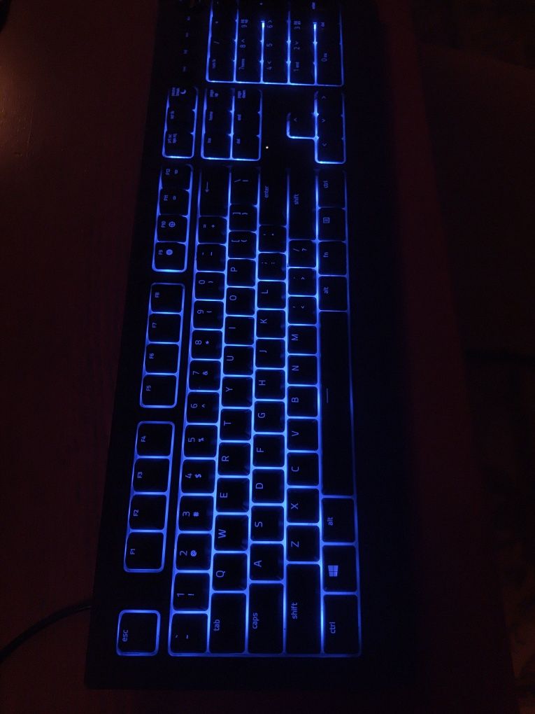 Razer CYNOSA v2.