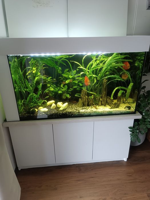 Akwarium 500l cały zestaw