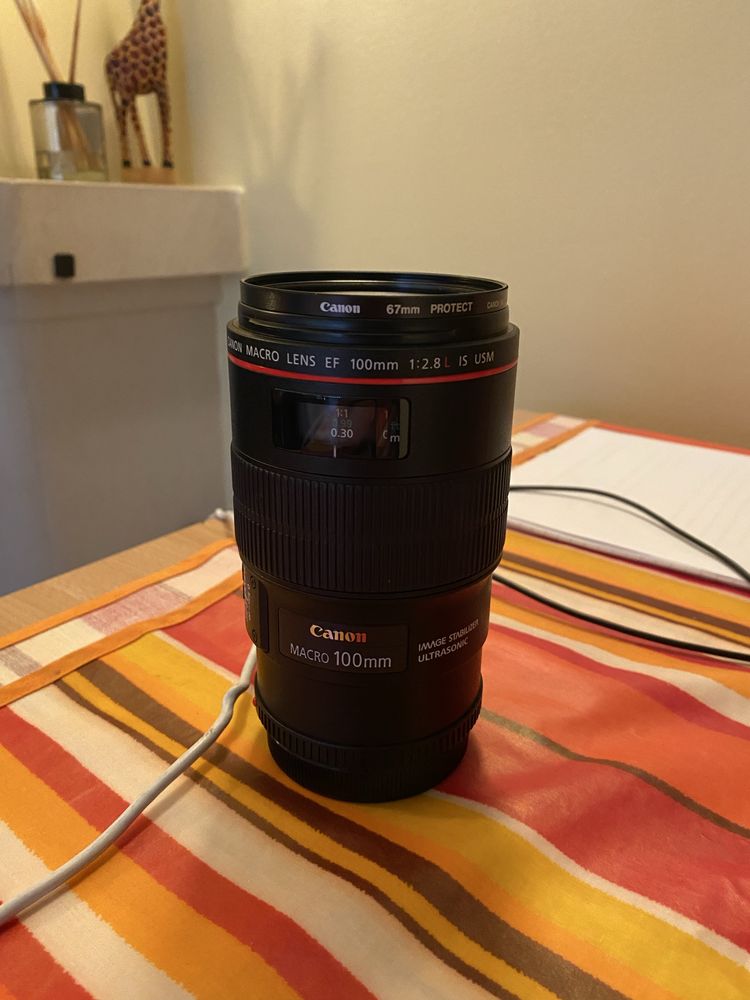 Canon EF 100mm f/2.8 Macro IS USM