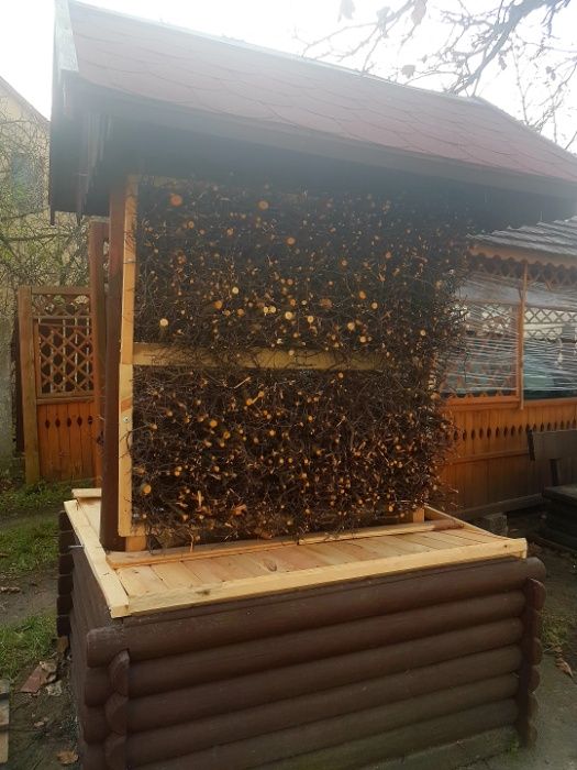Tarnina Tężnia Gotowe bloki Tarniny
