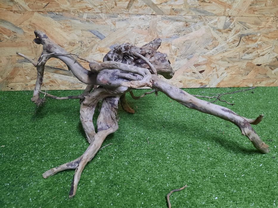 Korzeń do akwarium Red Moore Wood nr 871 o wymiarach 52/22/34