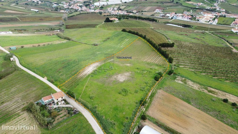 Terreno urbano de 15.000m2 em Freiria, Torres Vedras
