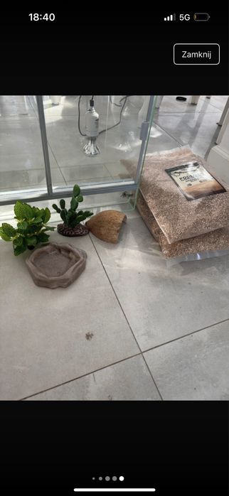 Terrarium dla jadzczurek lub innych terrqryjnych zwierxat