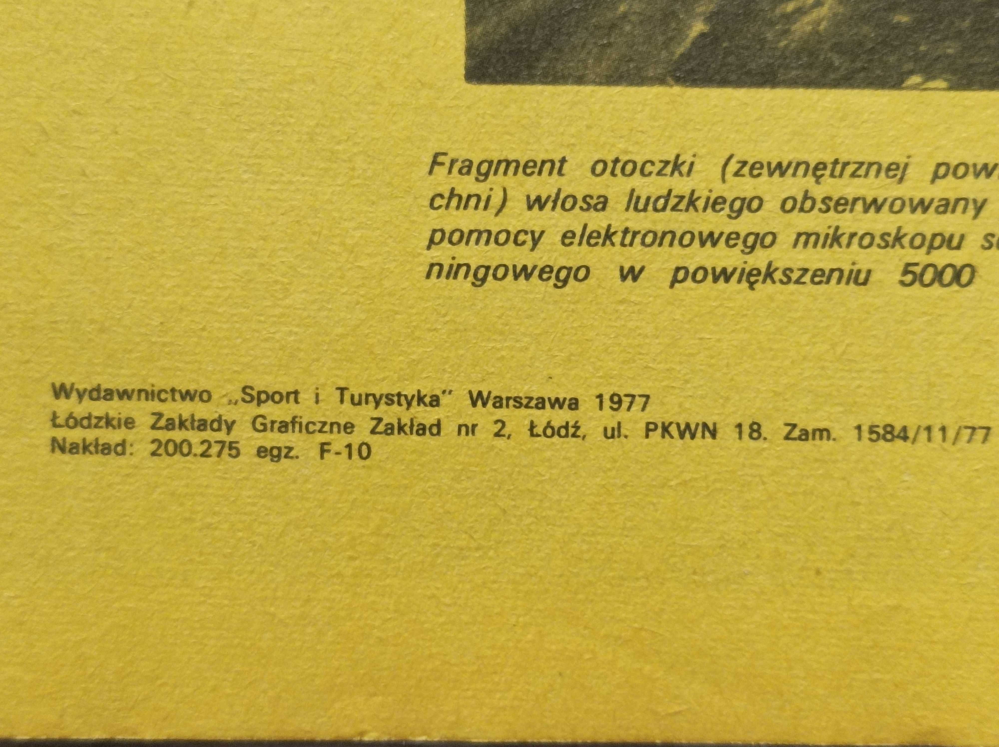 Kapitan Żbik Zerwana sieć 1977
