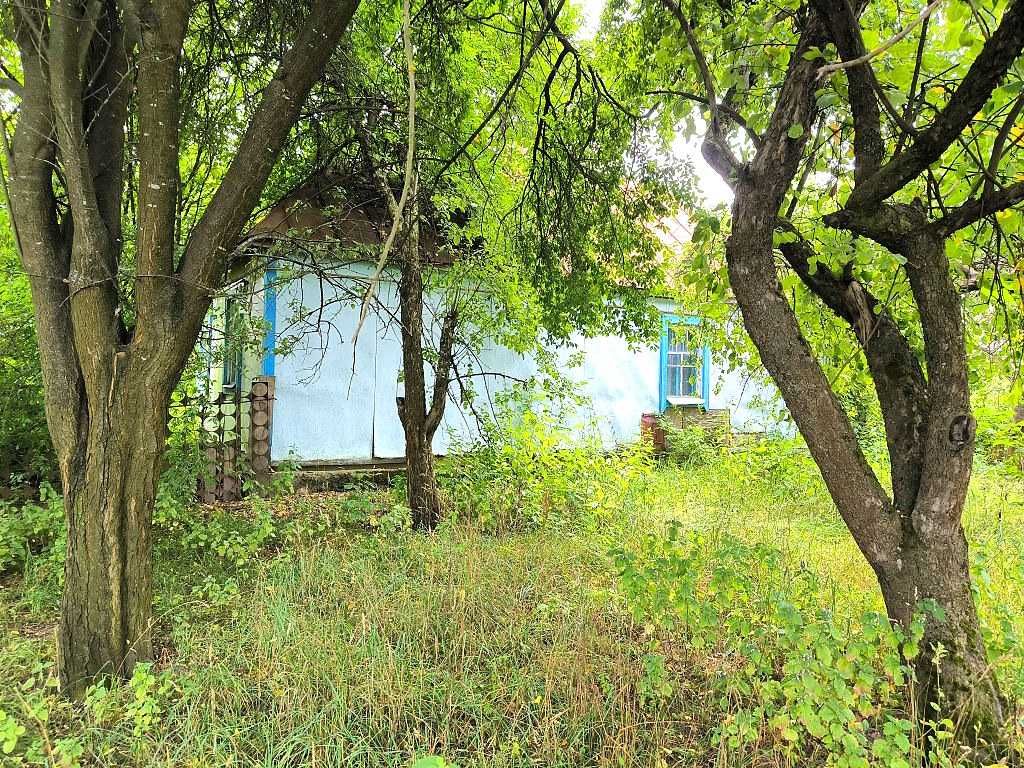 Продам жилий будинок та 71сот.землі в с.Грузьке.Тихе місце.