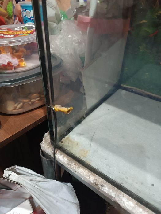 Akwarium 112 l z pokrywą i ala stolikiem