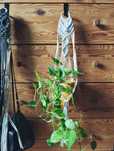 Makrama handmade kwietnik w stylu boho
