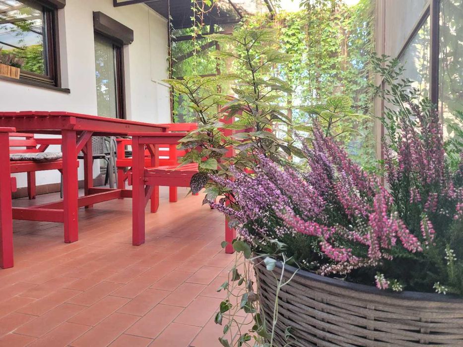 Jesienny weekend w Krakowie! Pobyty rodzinne i grupowe!