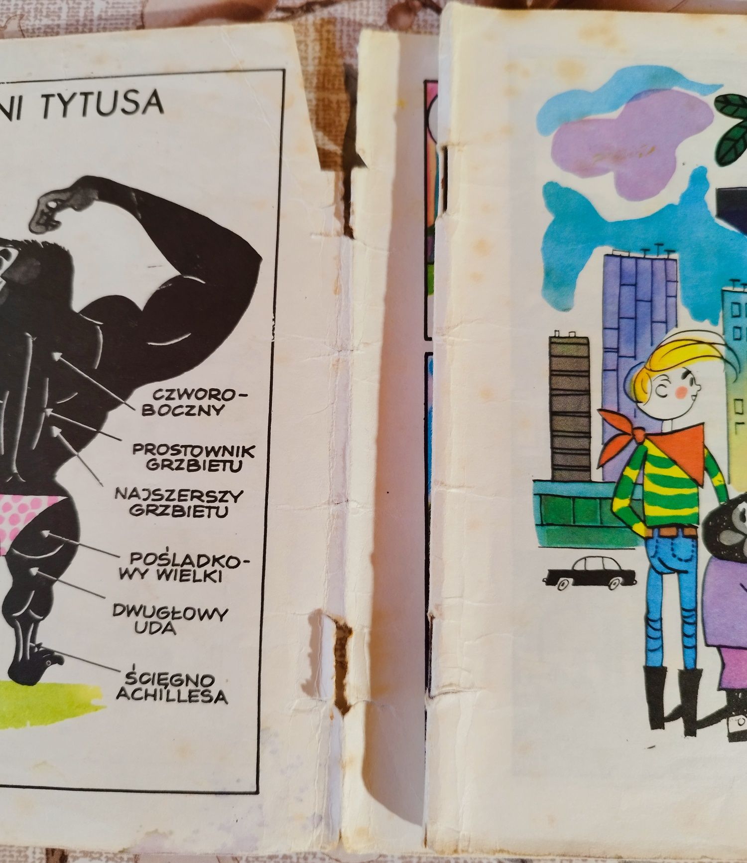 Tytus Romek i Atomek ks VI wyd. 1979 plus inne