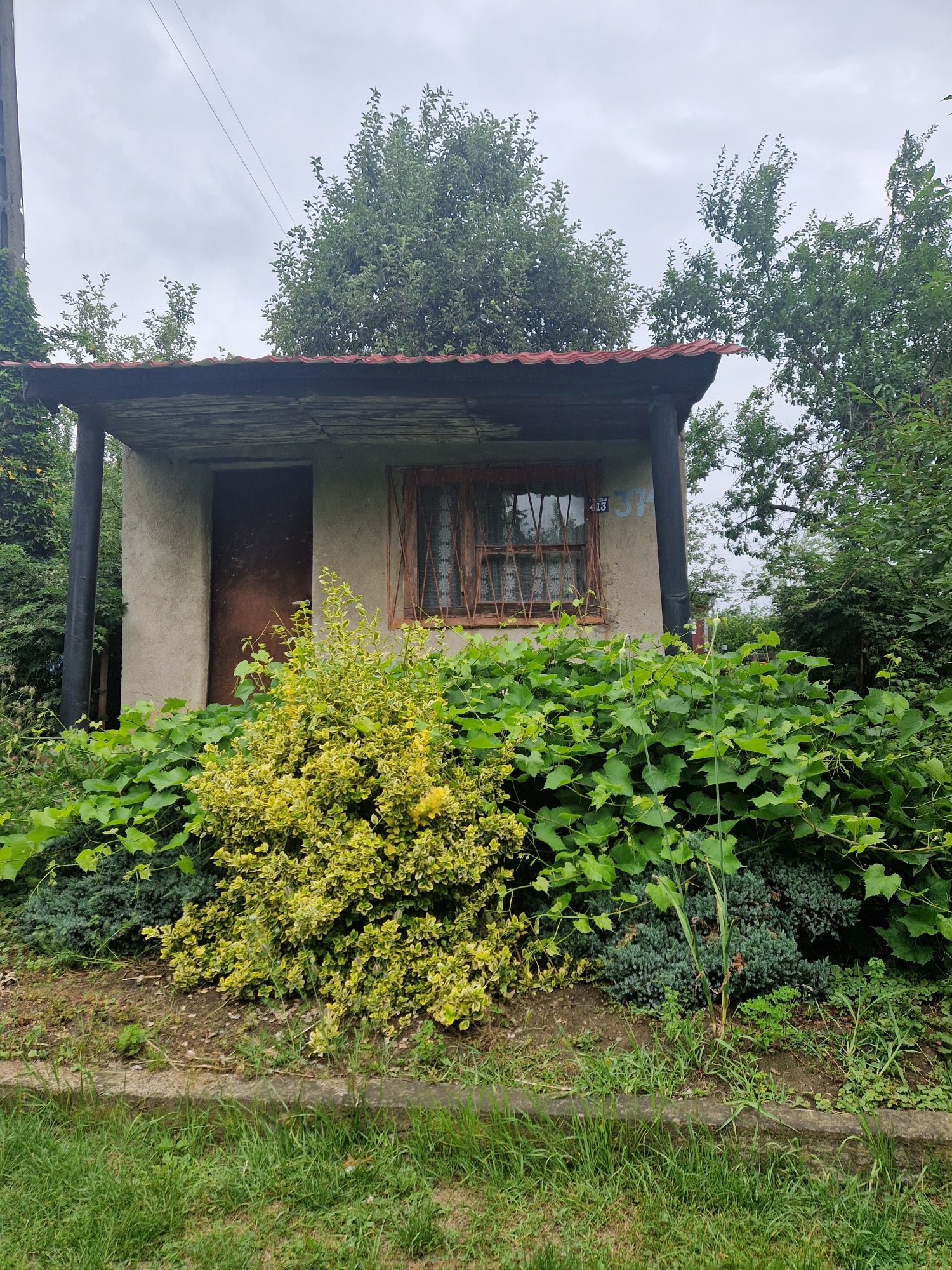 Ogródek działkowy na ROD "Perła"  Twoje własne Rodos  TOP LOKALIZACJA!