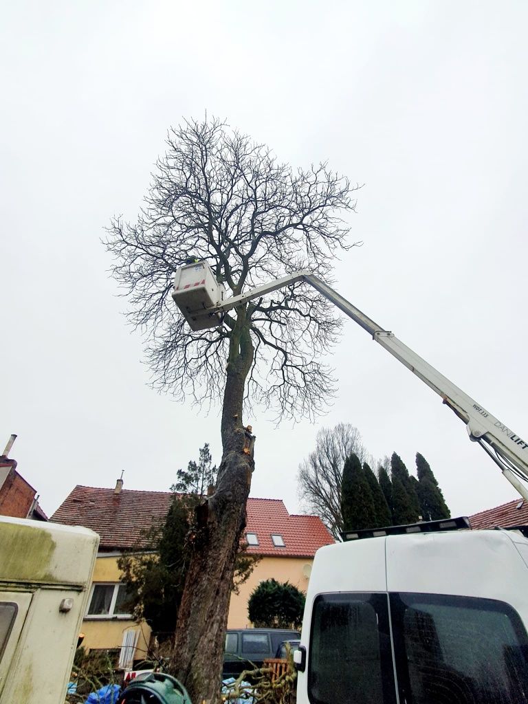 Usługi ogrodnicze