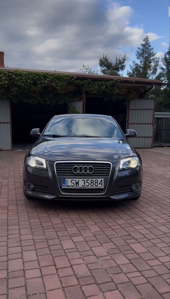 Audi A3 8P 1.9 TDI s-tronic 2009