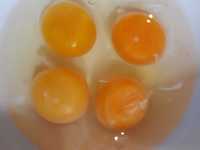 Ovos GALADOS Raça Não Defenida
