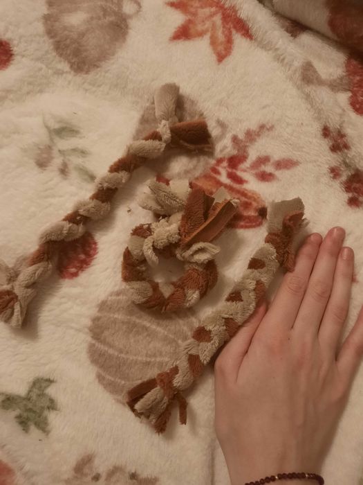 Zestaw szarpaków dla Chihuahua lub szczeniaka york:)