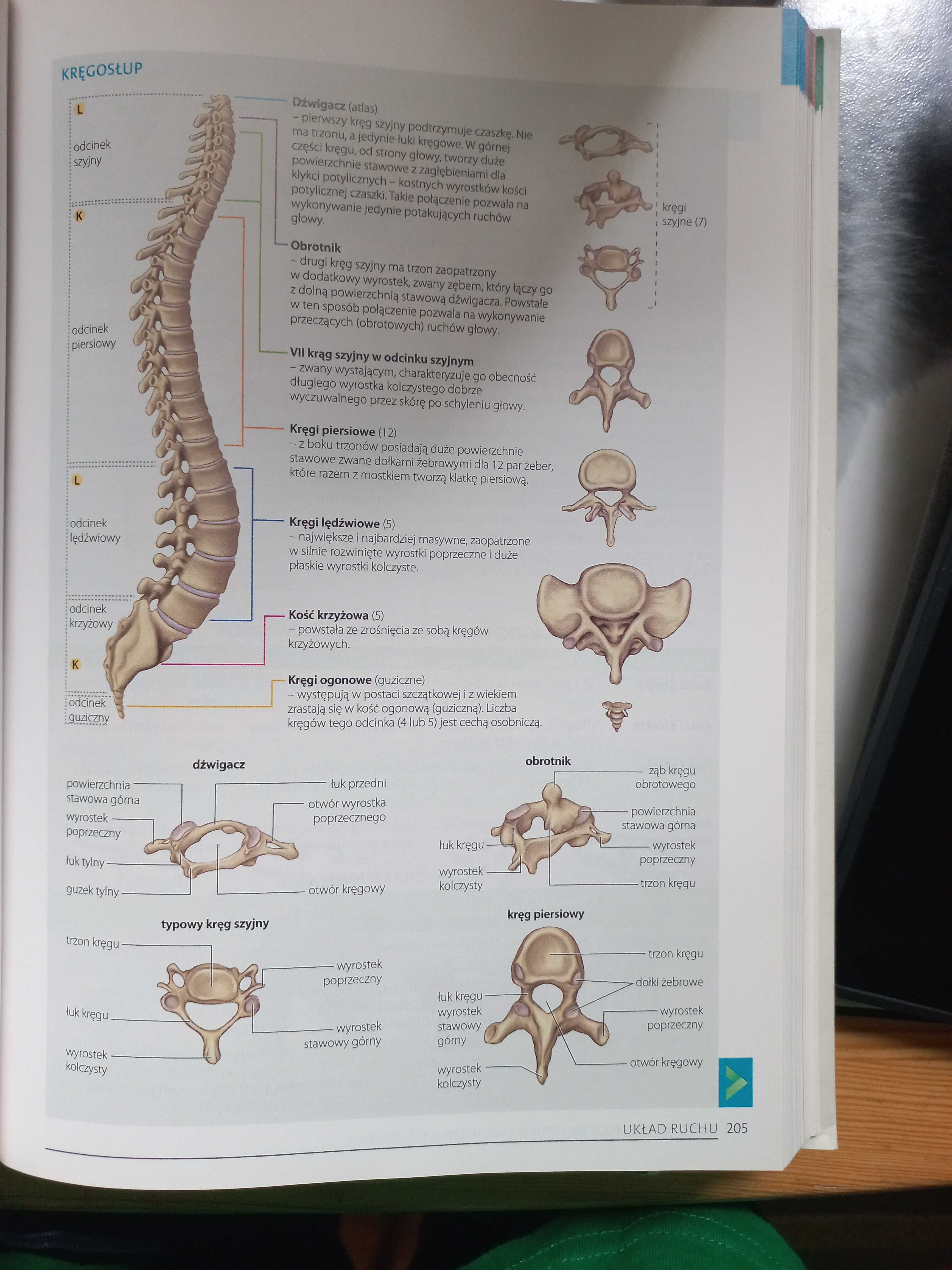 Vademecum matura rozszerzona biologia operon