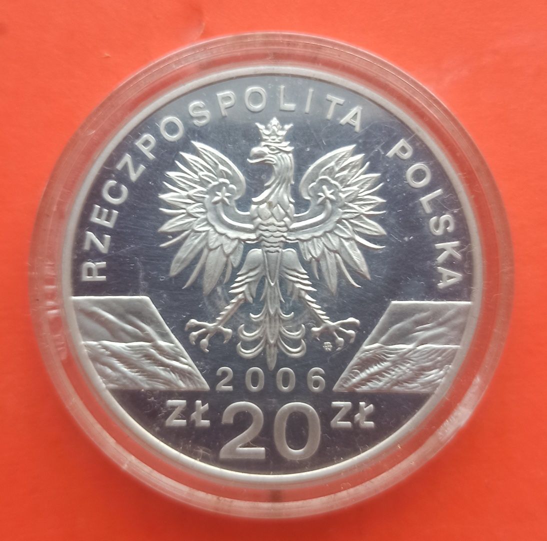 20 злотых  2006 р сурок
2006
Сурок