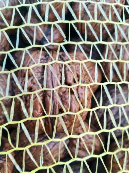 Sprzedam orzechy włoskie posiadam 2 tony