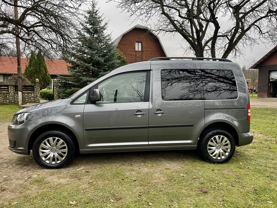 Свіжопригнаний кадді,7 місць