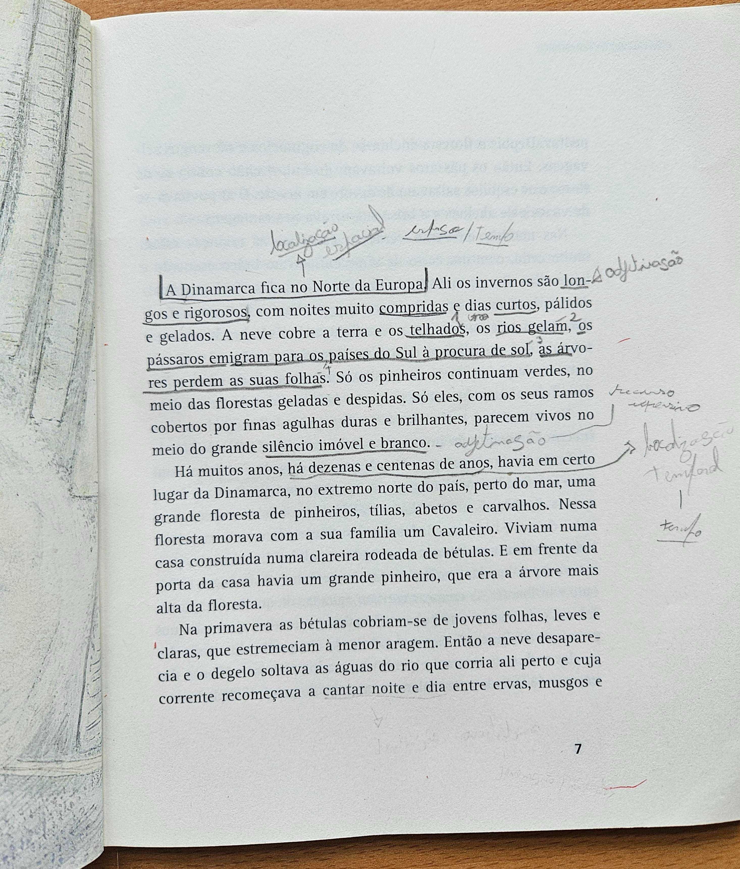 O Cavaleiro da Dinamarca