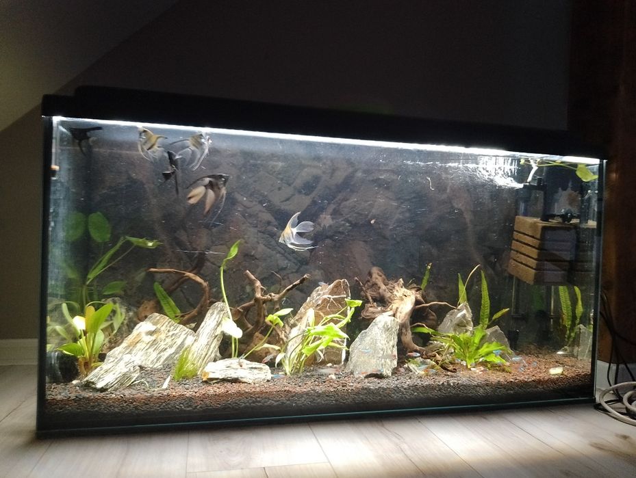 Akwarium 200l + zestaw.